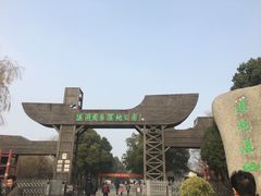 -溱湖国家湿地公园