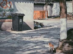 -丝绸小镇荻港古村