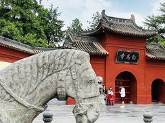 -洛阳白马寺
