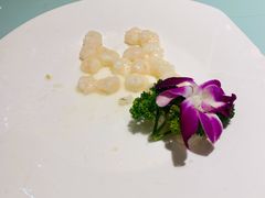 滑炒虾仁-新开元大酒店(杭州大关店)