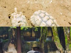 -杭州野生动物世界