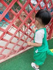 -萌宠亲子动物乐园(槐房万达店)