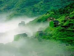 -枸杞岛
