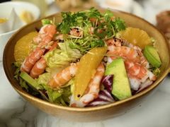 -O'eat Blossom&Pelican(深圳首店)