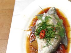 -有腥气私房菜·寻味顺德