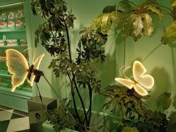 -青稚护手霜QINGZHI