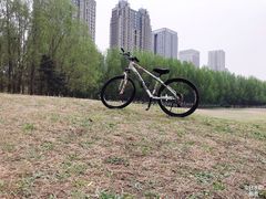 -长白岛森林公园