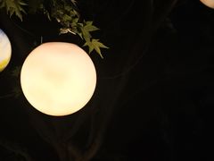 -七彩云南古滇温泉山庄
