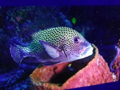 -福州罗源湾海洋世界旅游区