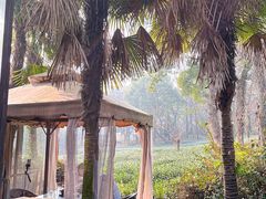 -野蔓果·山野菜(西湖景区·龙井茶田店)