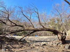 -鹫峰国家森林公园