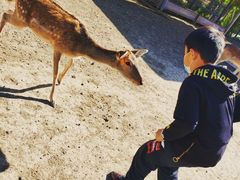 -北京麋鹿生态实验中心