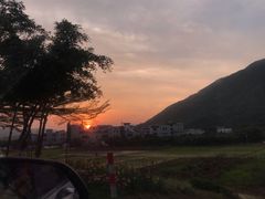 -广州市流溪河国家森林公园