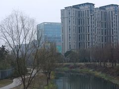 -新江湾城公园