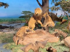 -国家自然博物馆