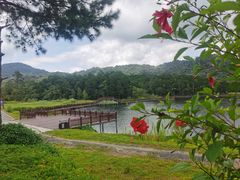 -海南热带雨林国家公园吊罗山景区