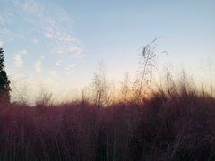 -艾溪湖湿地公园