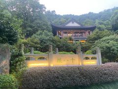 -十八棵（老龙井）御茶园(老龙井店)