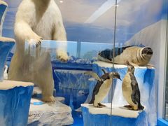 -国家自然博物馆