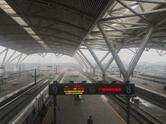 -新辉港式茶餐厅(北栅店)