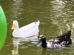 -团结湖公园