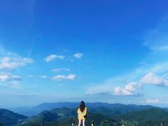 -武陵山森林公园