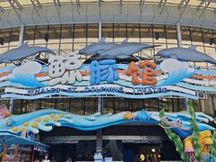 -海合安成都极地海洋公园