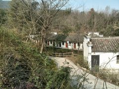 android_upload_pic-莲峰云海景区