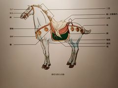 -西安大唐西市博物馆