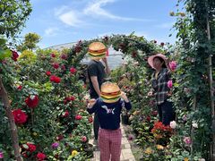 -龙大花卉苗木市场