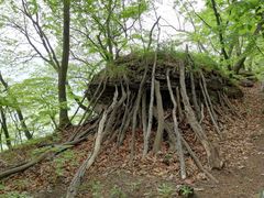 -五女山景区