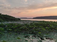 -丁香湖公园