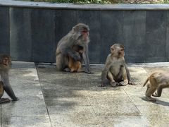 -重庆云阳龙缸景区
