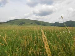 -塞罕坝国家级自然保护区