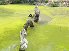 -汇龙潭