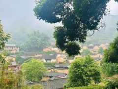 -杨家堂村