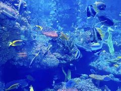 -海合安青岛极地海洋公园