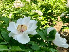 -江南大学-第一食堂(江南苑)