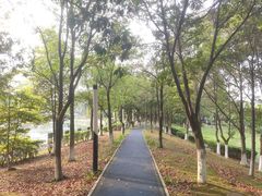 -四川大学(江安校区)