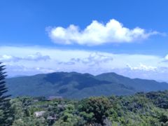 -三亚亚龙湾人间天堂鸟巢度假村