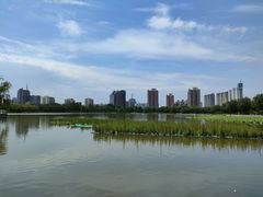 -莲花池公园