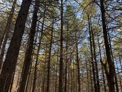 -白草畔自然风景区