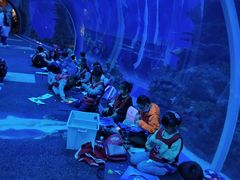 -成都浩海立方海洋公园