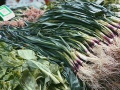 -五里多农博广场