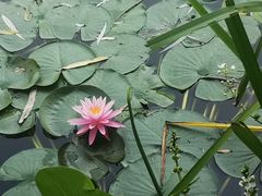 -国家植物园南园