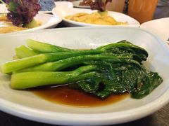 -Asianplus海蓝鸡饭