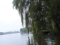 -鲁镇