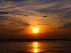 -宝安西湾红树林湿地公园