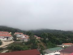 -大鹿岛