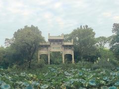 -西溪国家湿地公园